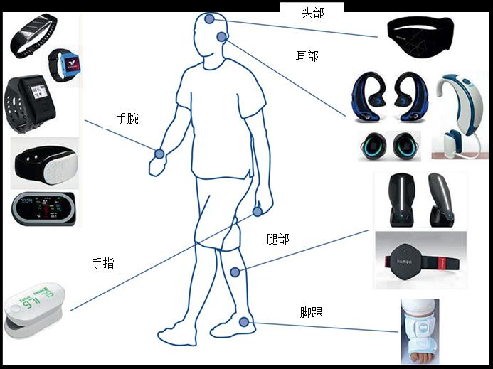 为什么智能手表能监测你的健康？揭秘背后的MEMS传感器技术2