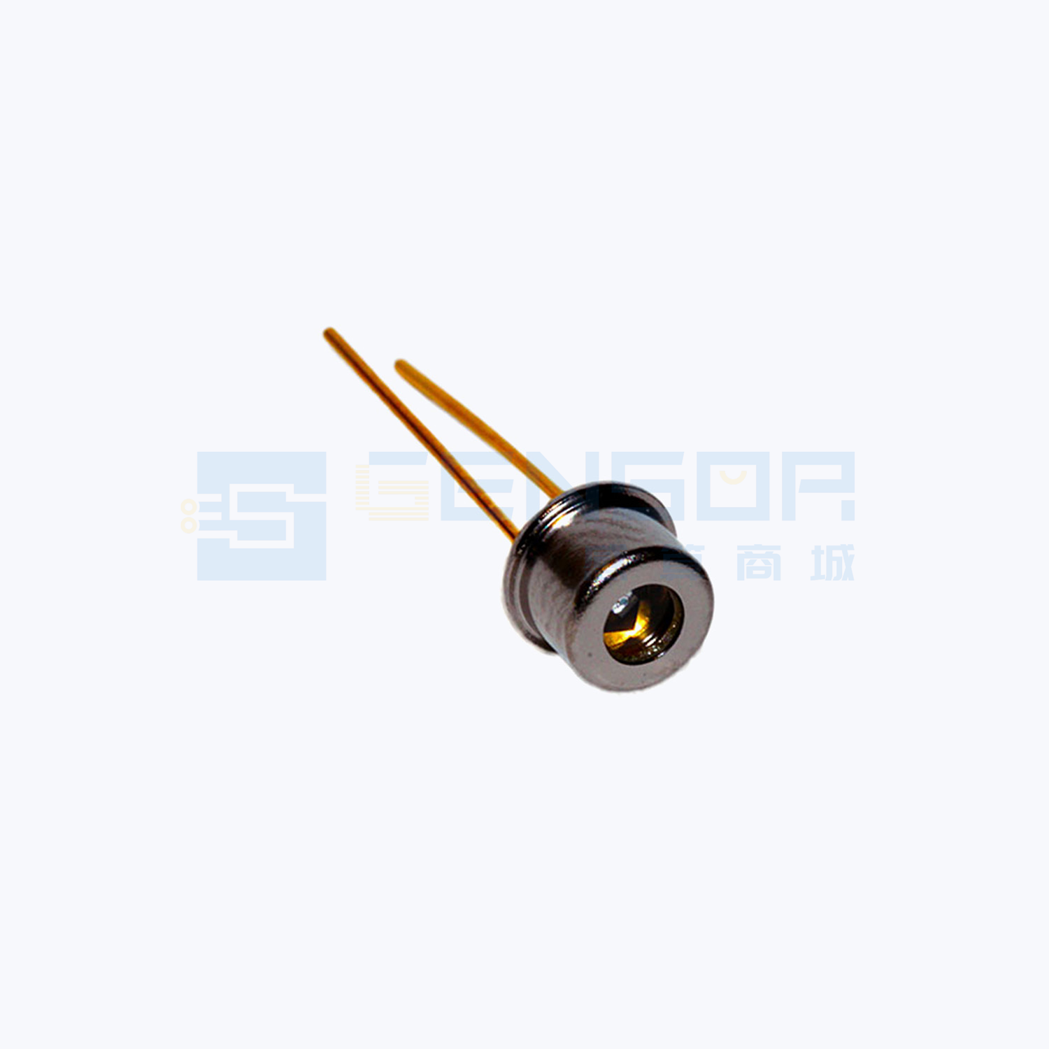 MTAPD-06-005