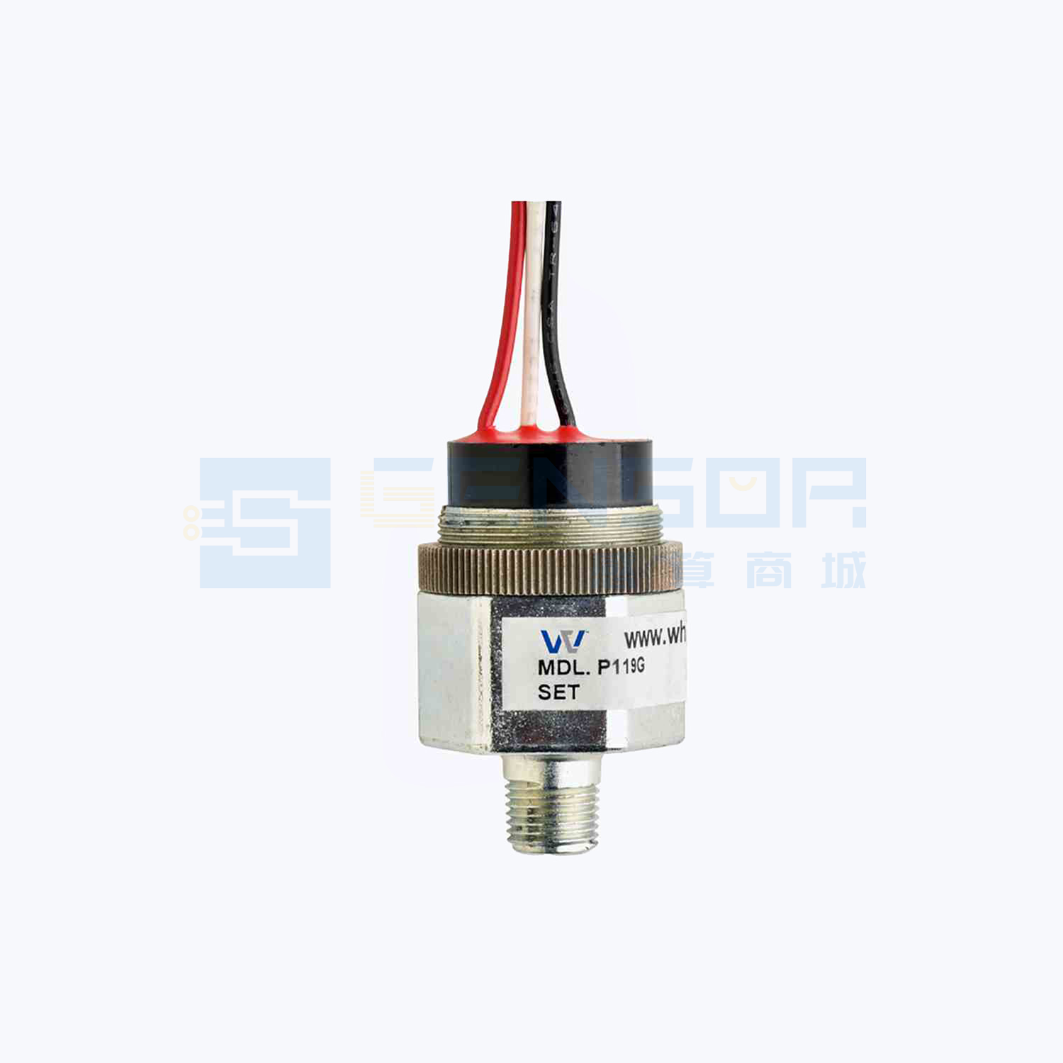 P119G-25H-C12L-DIS