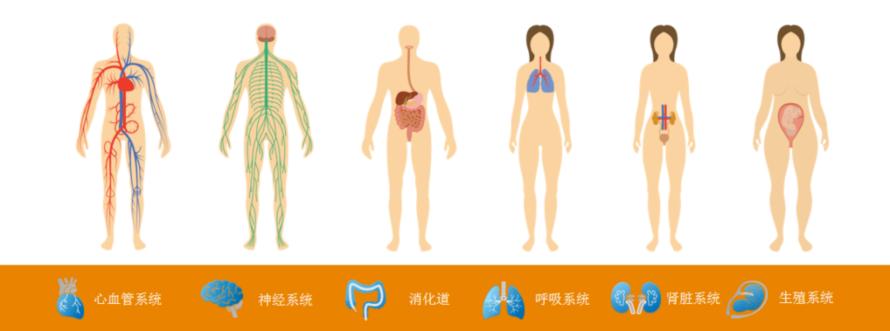 压力传感器在心脑血管器械领域的应用1