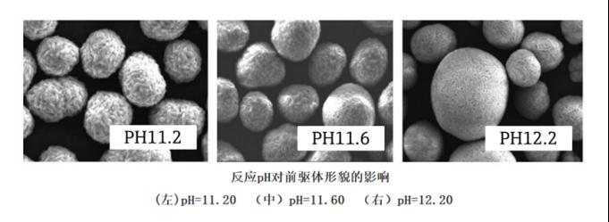 Memosens 2.0 pH电极：分析轻松 过程安全 连接可靠3