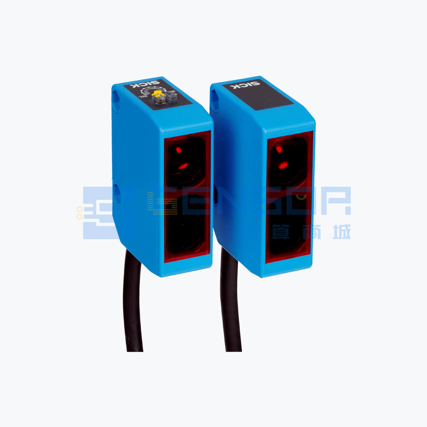 WSE250-2R1631