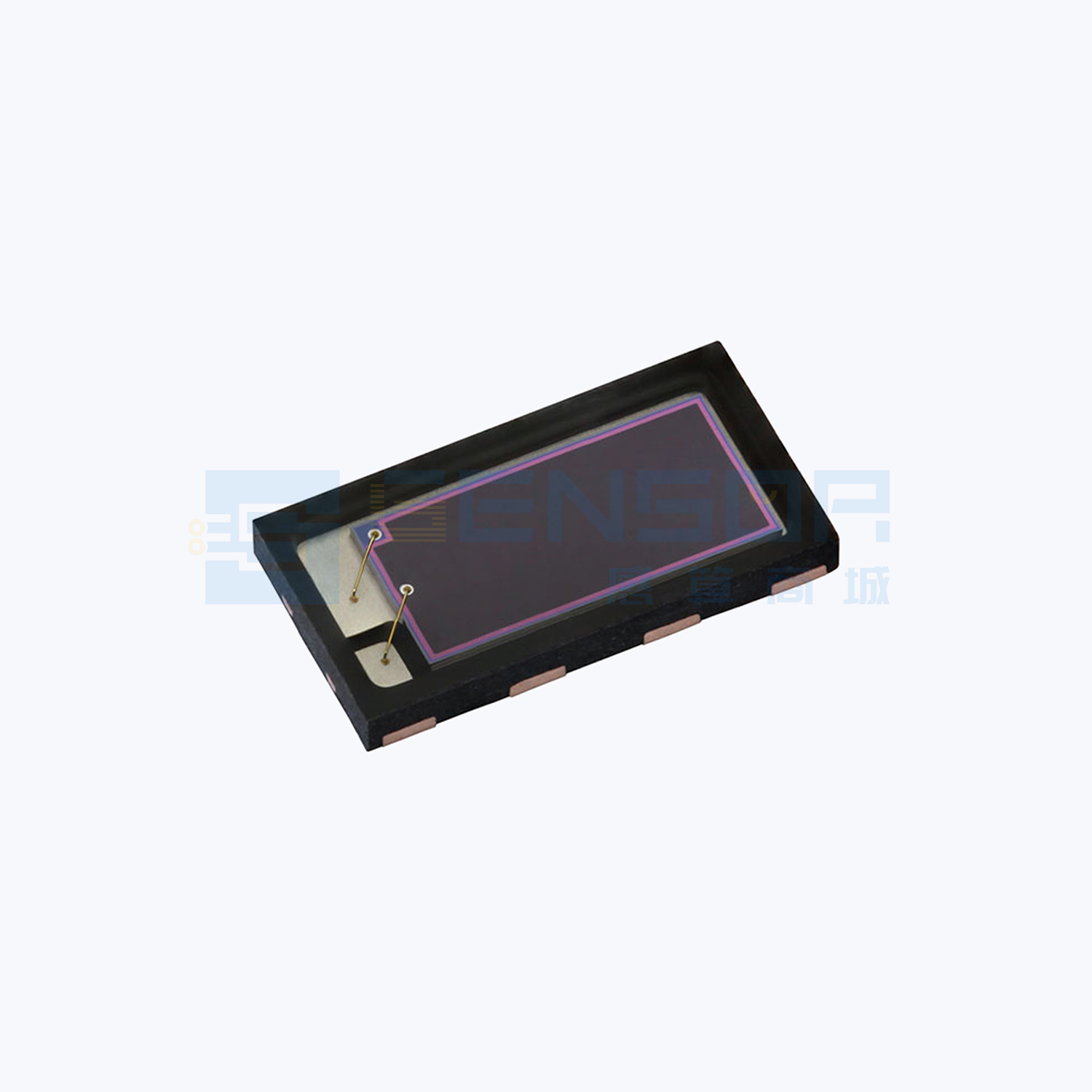 VEMD8081