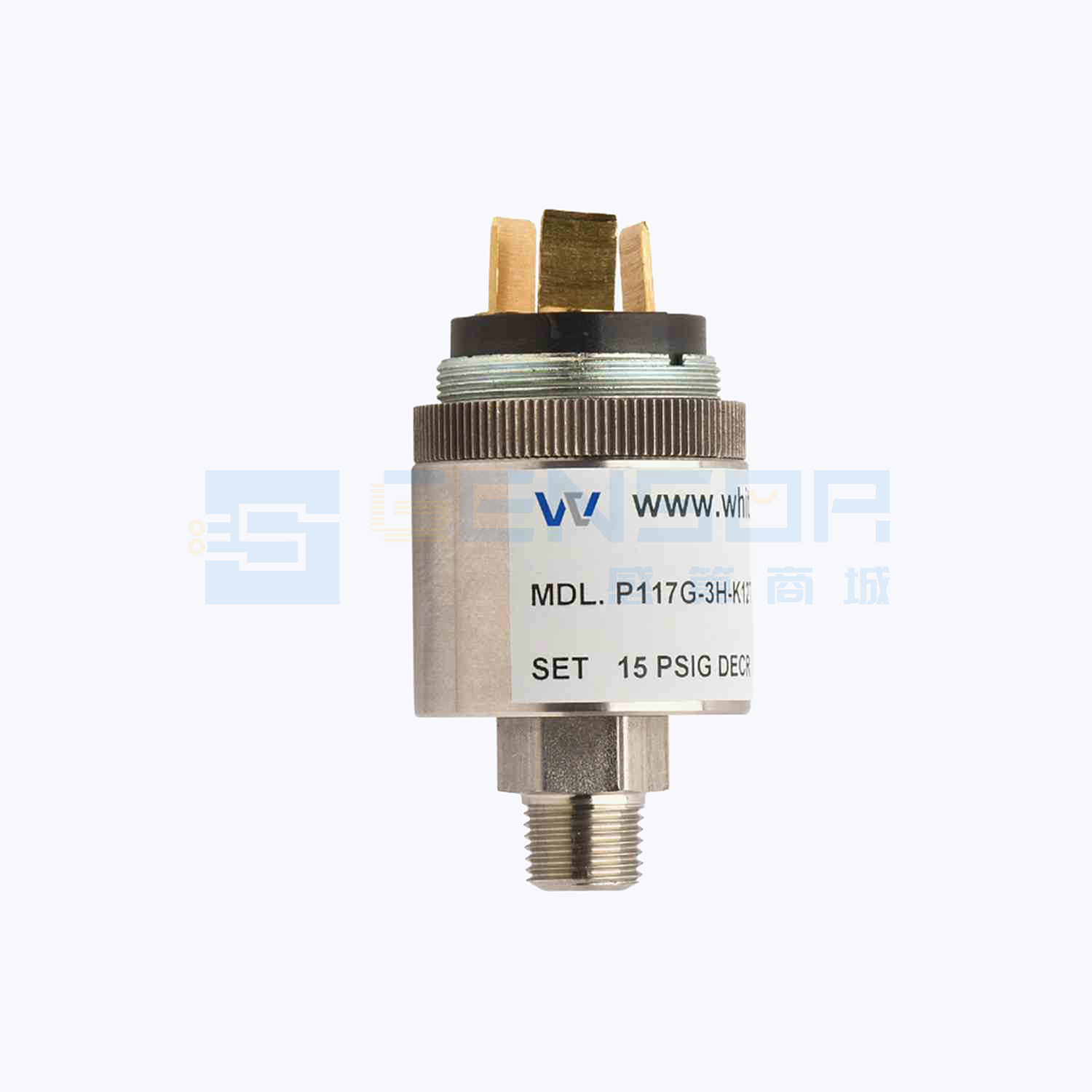 P117G-3H-C12TB-DIS