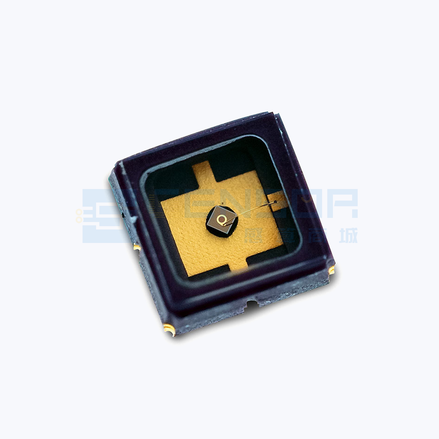 C30645L-080