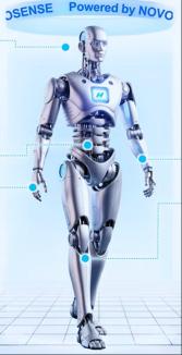 从运动到感知，人形机器人芯片解决方案