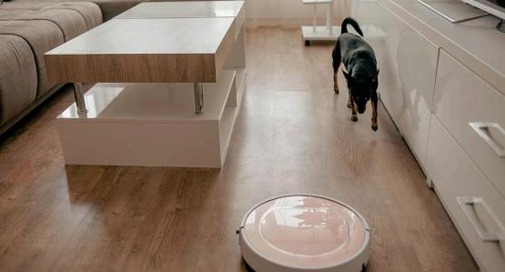打造下一代家用机器人：精心构建智能化、集成化和电源优化的系统