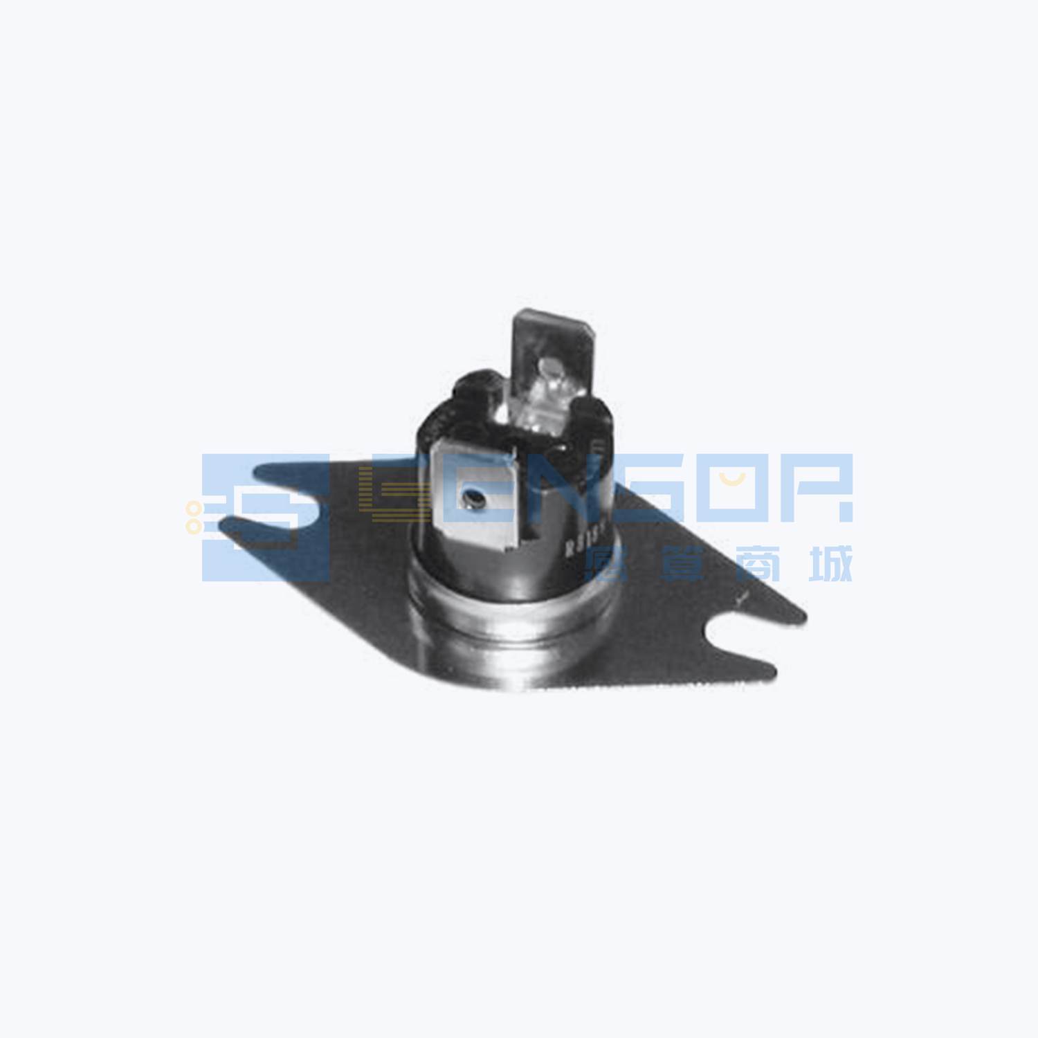 2455R--99190154