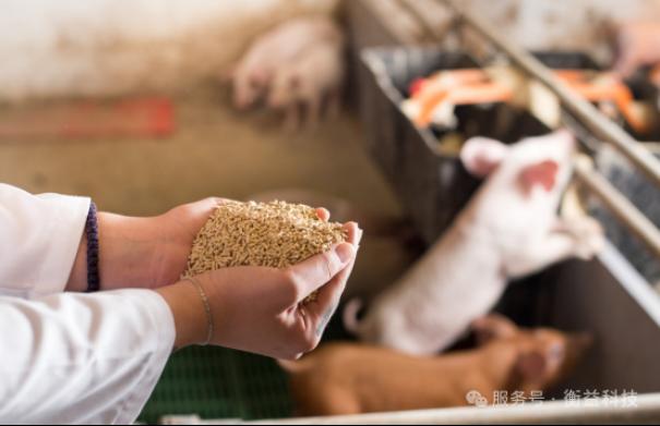 智慧养殖场物料仓检测管理方案13