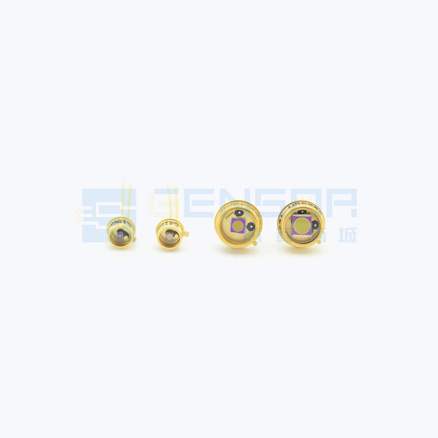 C30619GH