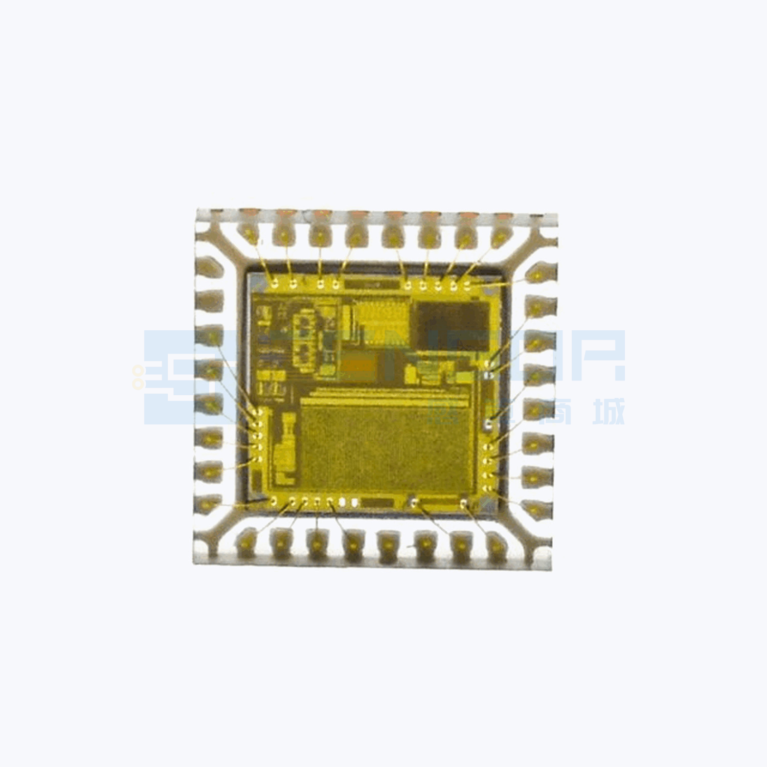 FS310