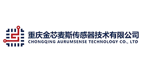 金芯麦斯传感