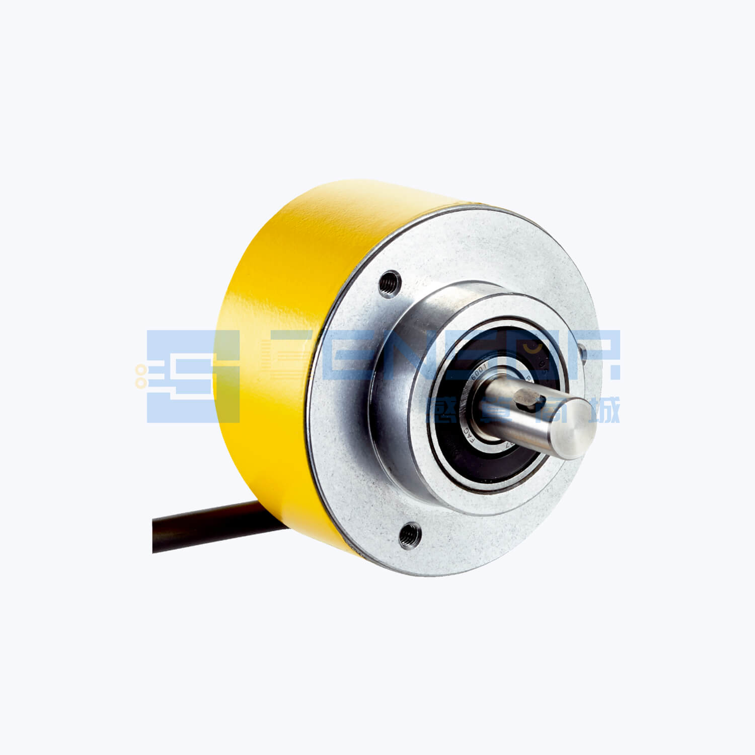 DFS60S-SEOK01024