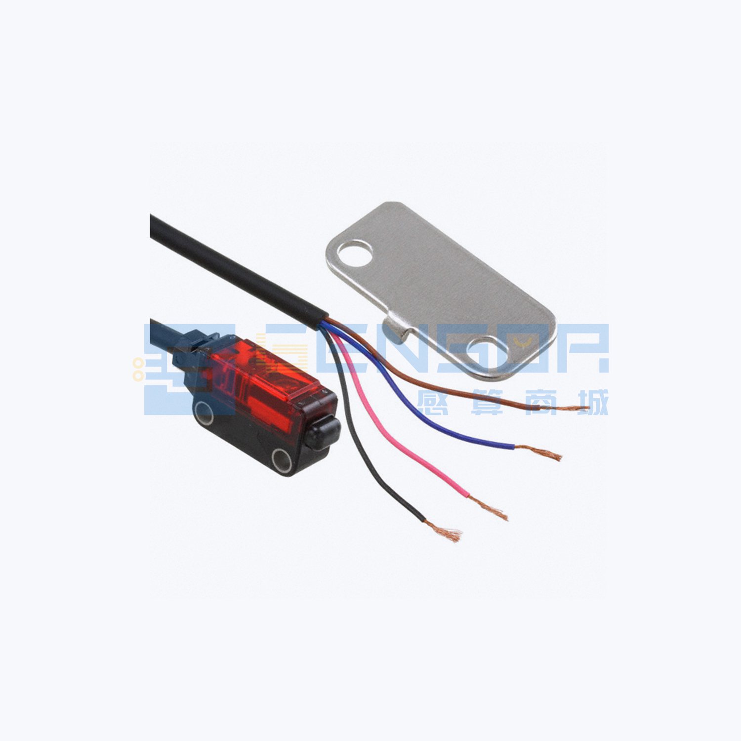 EX-L262-P-C5