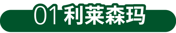 核电站“速效救心丸”——尼得科利莱森玛核级发电机3
