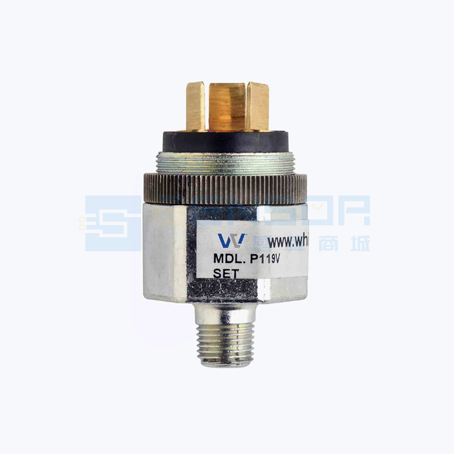 P119V-3H-C52L-DIS