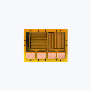 MMF405020