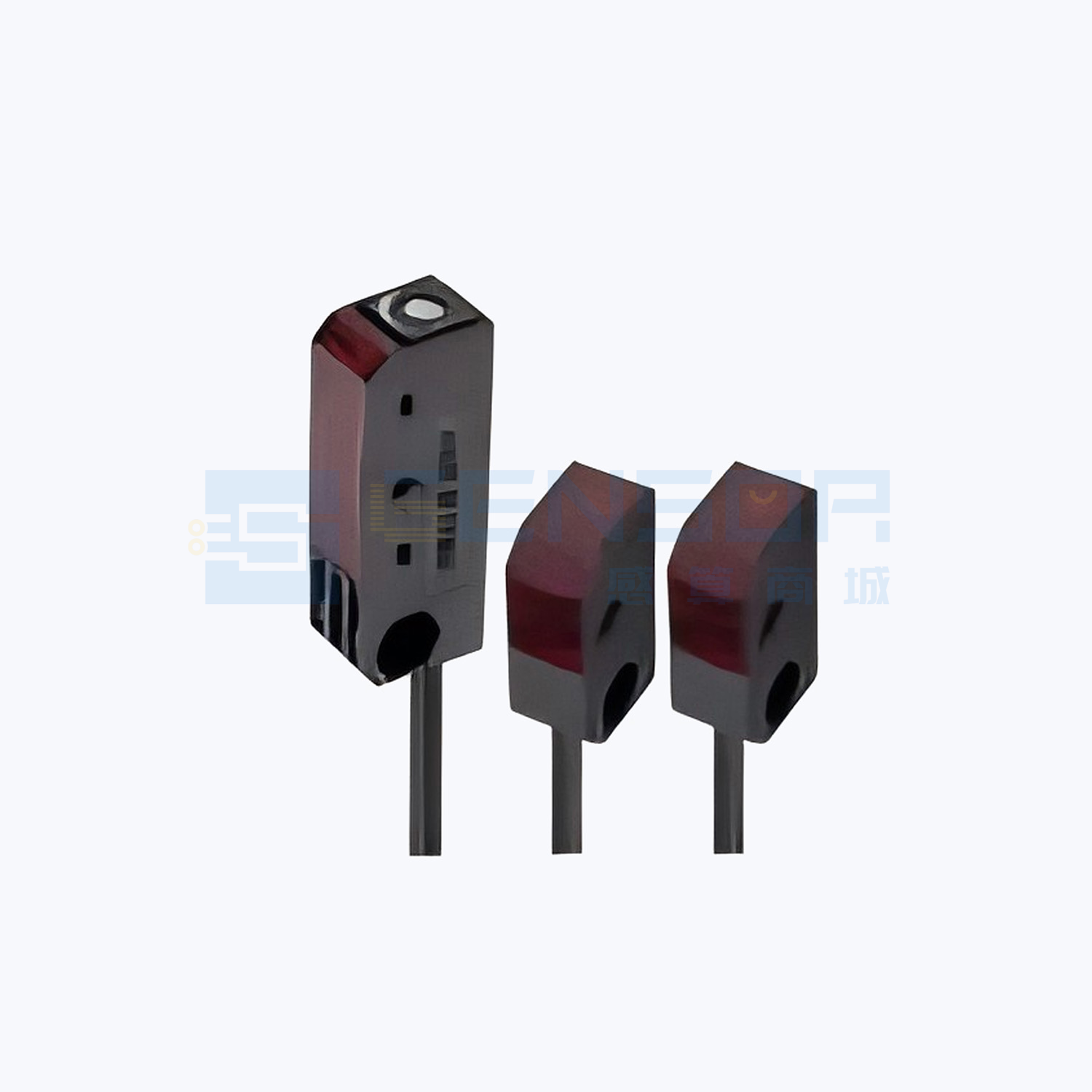 EZ-D21