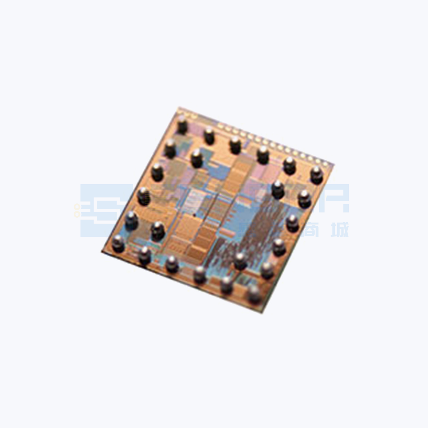 EPC611-CSP24-001