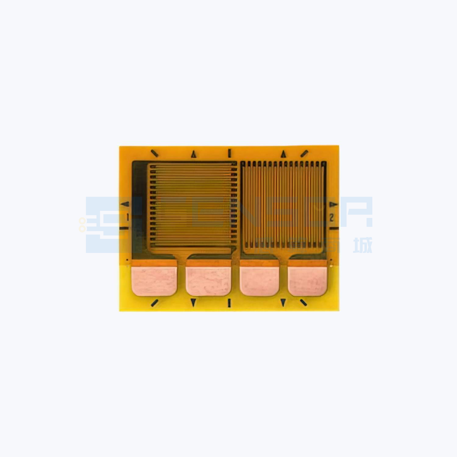 MMF405020