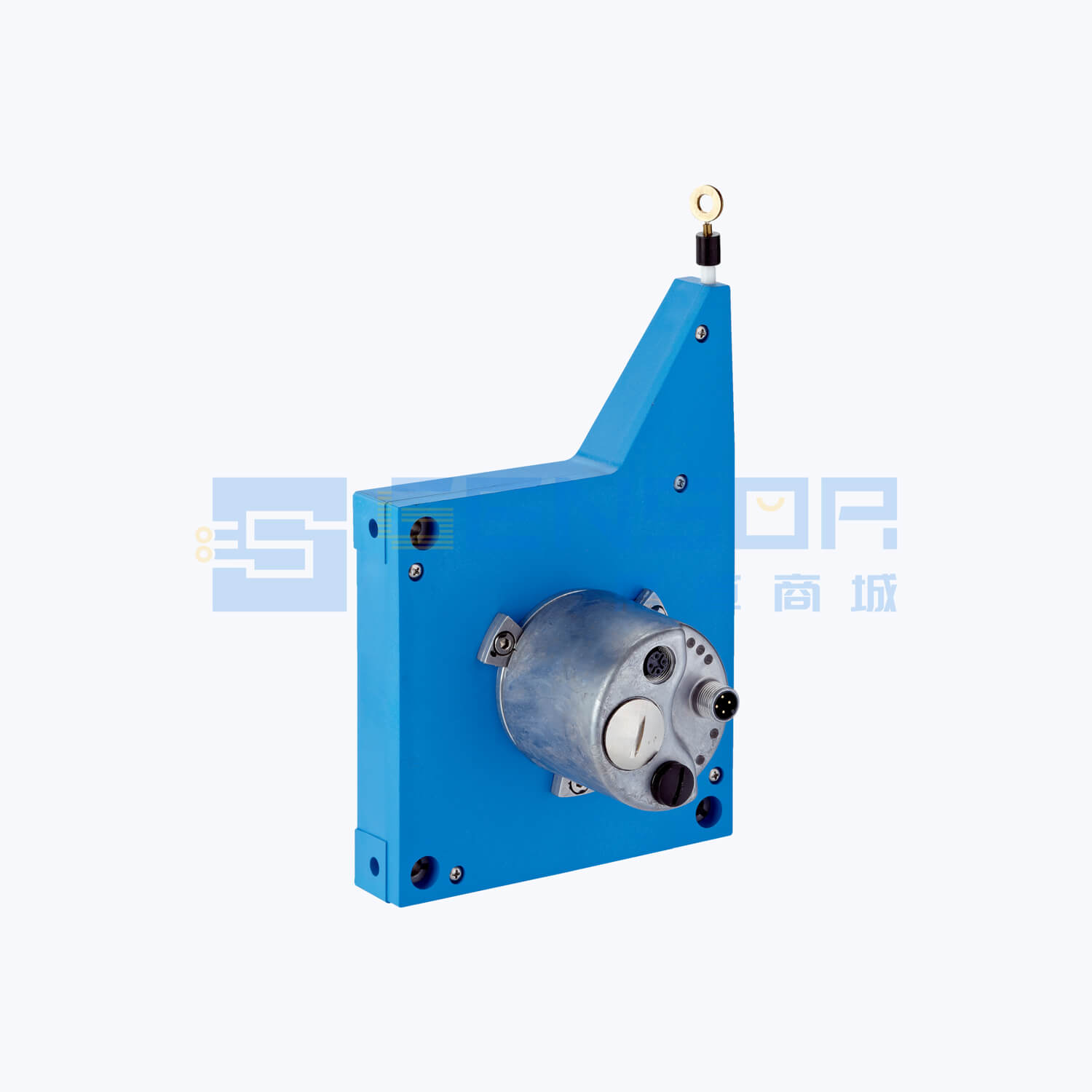 BCG13-N1BM0599