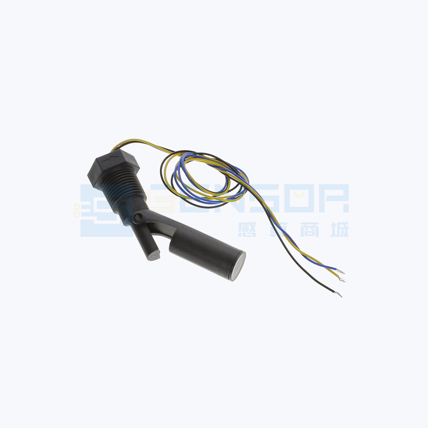 LS804-31