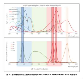 应用指南：利用 OSCONIQ® P 3737园艺专用大功率LED提升作物产量与照明效率