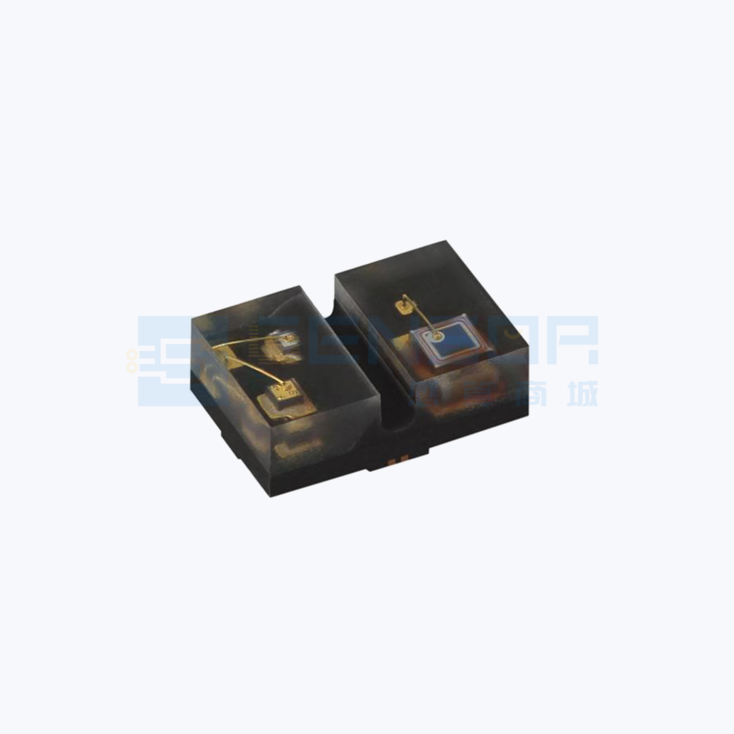 VCNT2030
