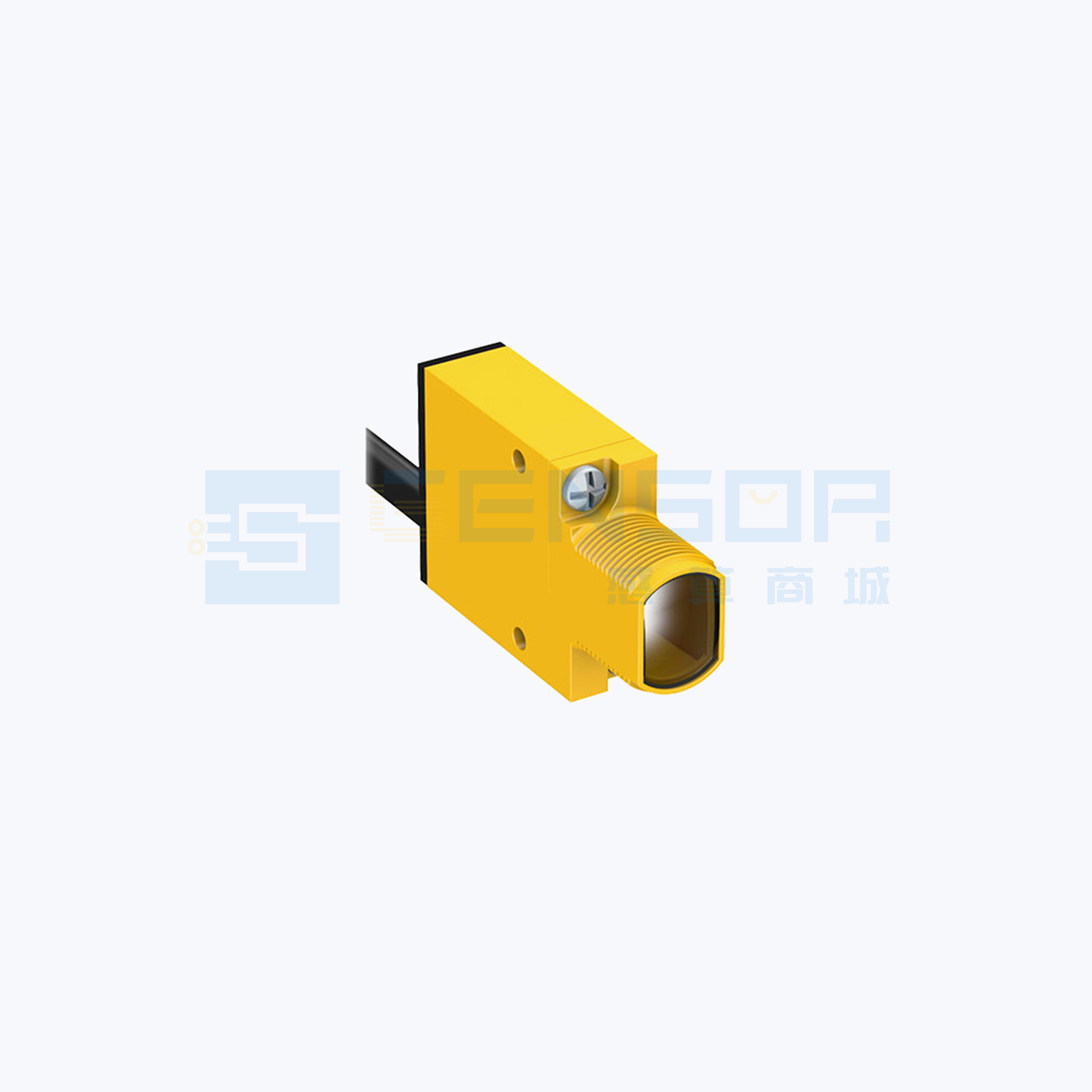 SM31R