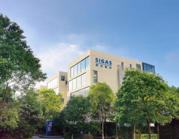 揭秘气体传感器在元素分析中的作用