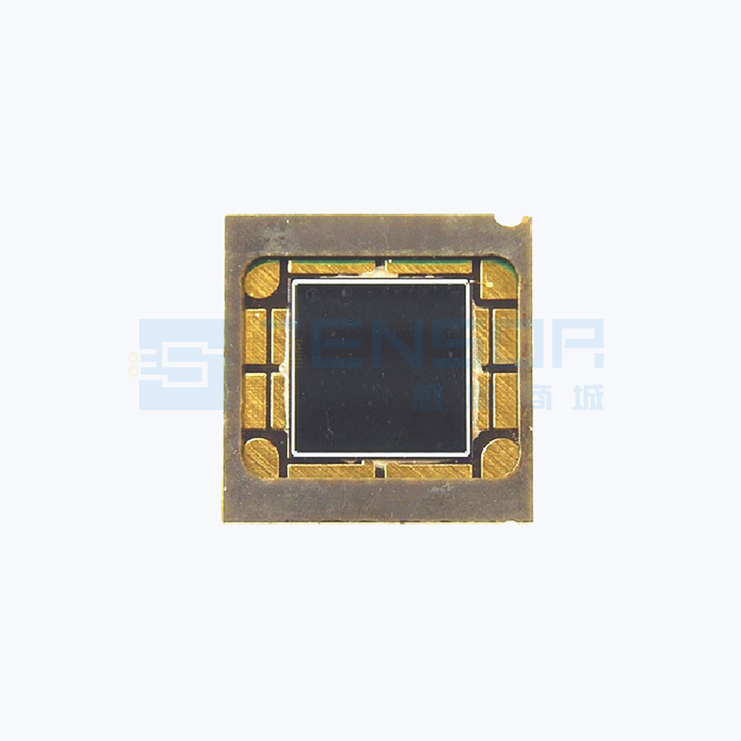 OPR5913