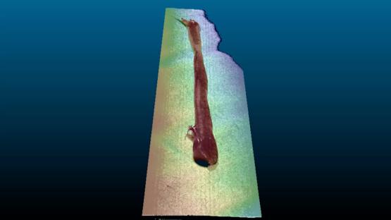 深视智能线激光3D轮廓测量仪实现3C点胶质量在线检测