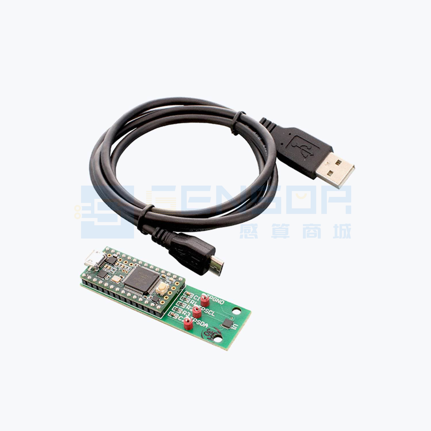 ASEK31300EEJA-2000-DK