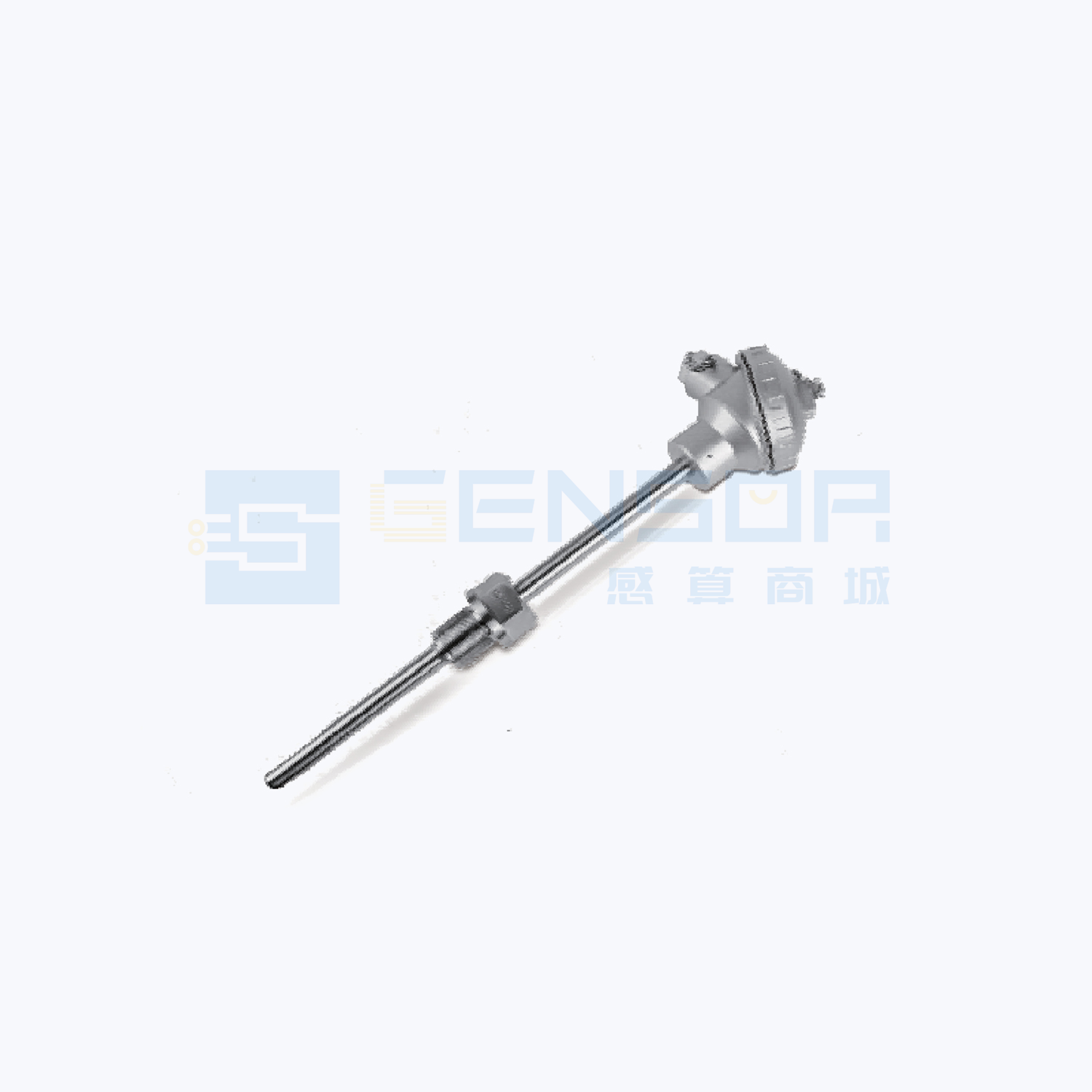 AE-PT100-S-1-M1-J1-P1-V4-3-0-T1-C2175