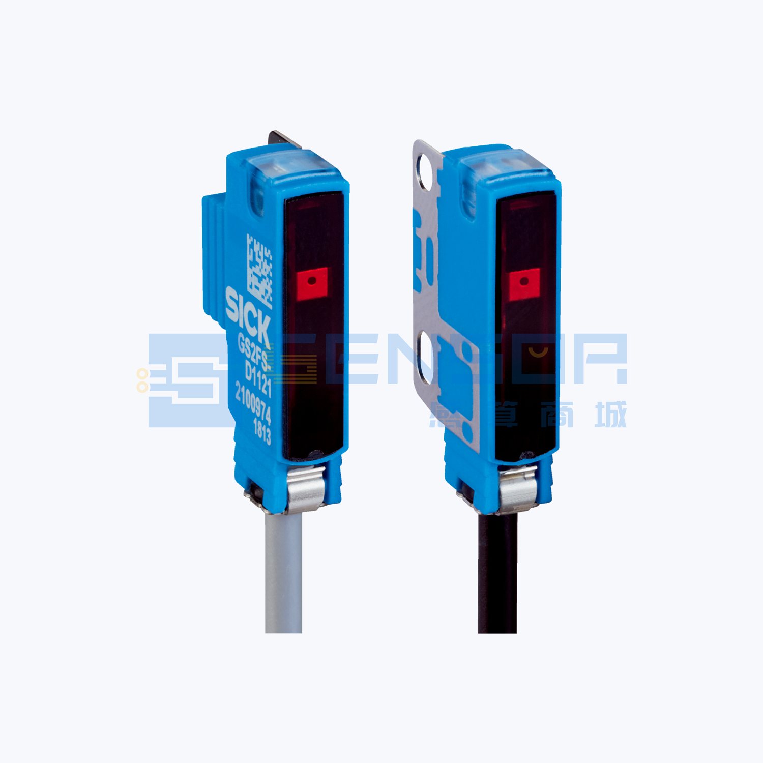 GSE2FS-P1151