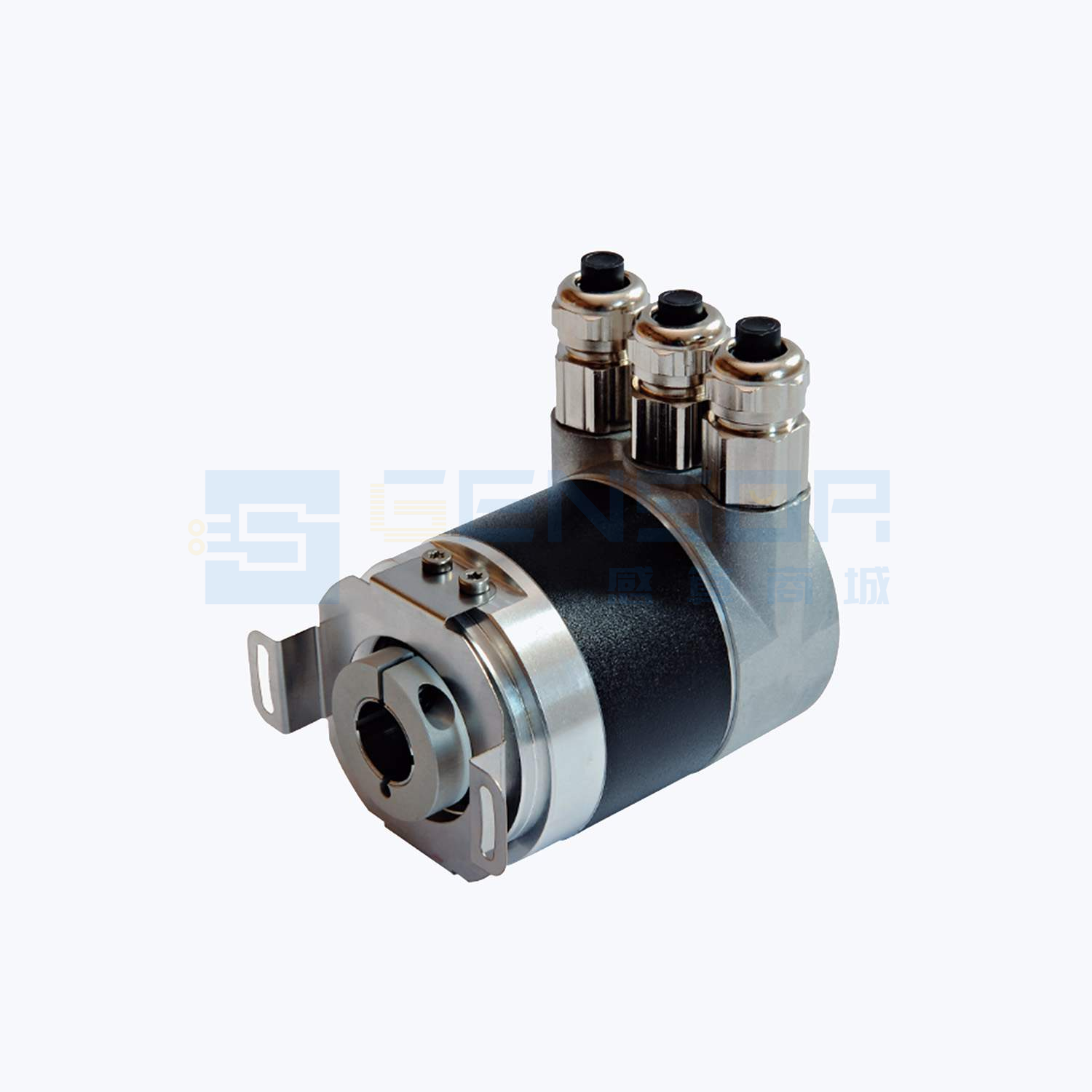 PSS58N-F2AAGR0BN-0013