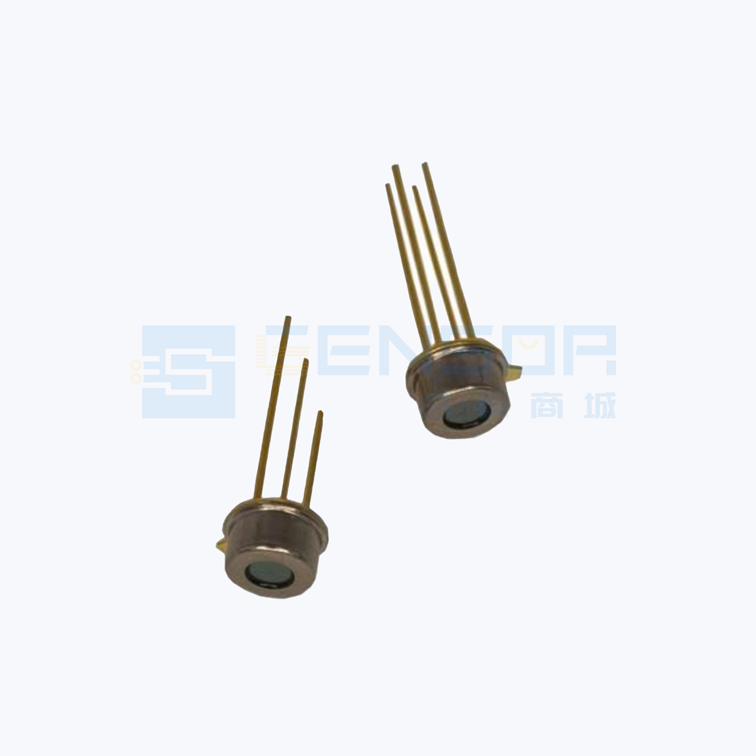 LT-SS-T3B-F55