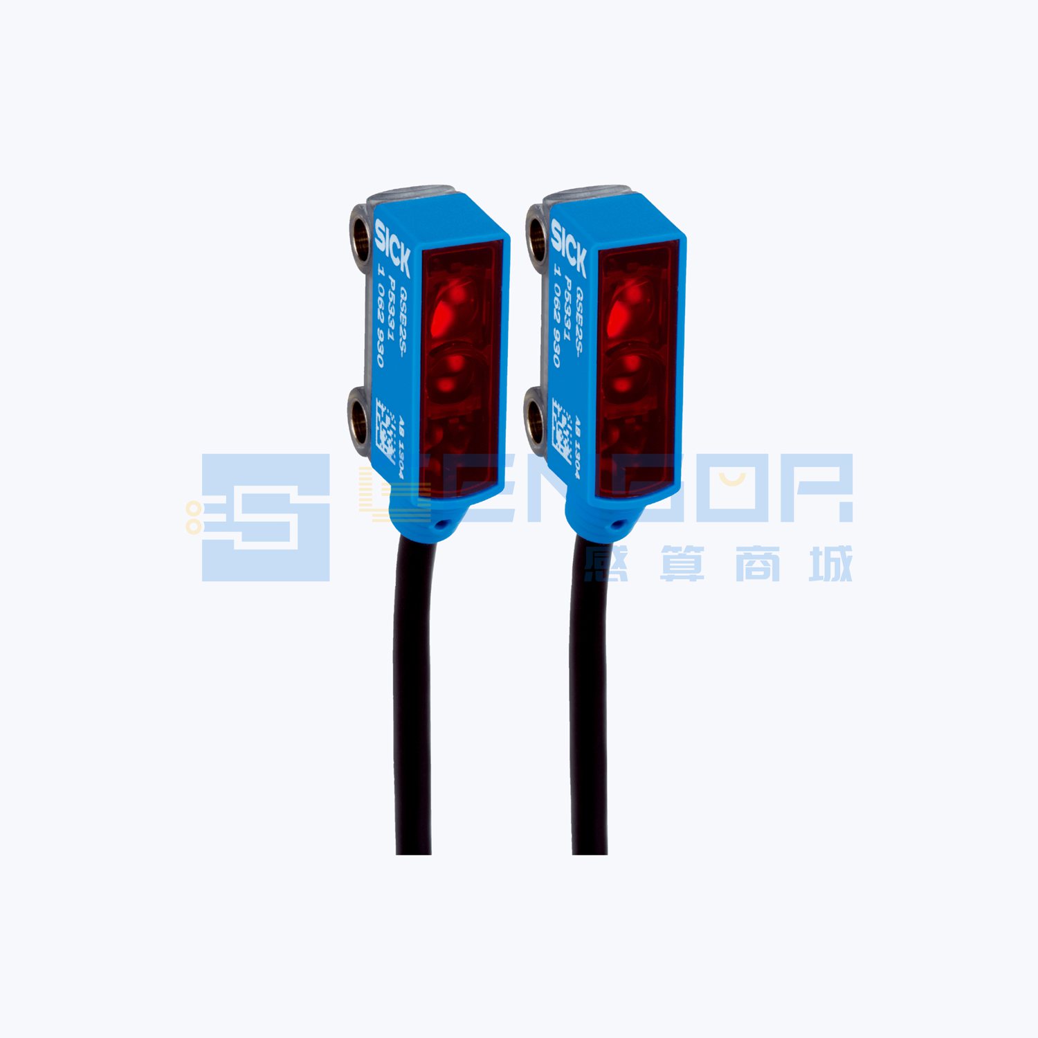 GSE2S-P5311