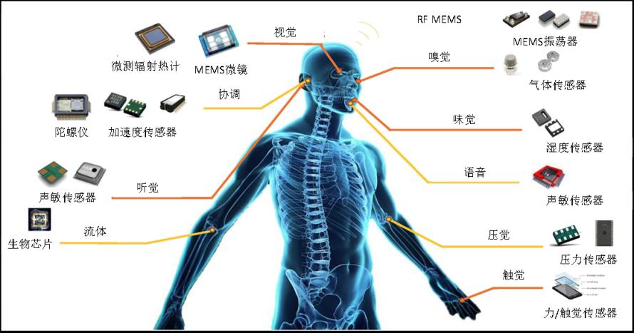 为什么智能手表能监测你的健康？揭秘背后的MEMS传感器技术1