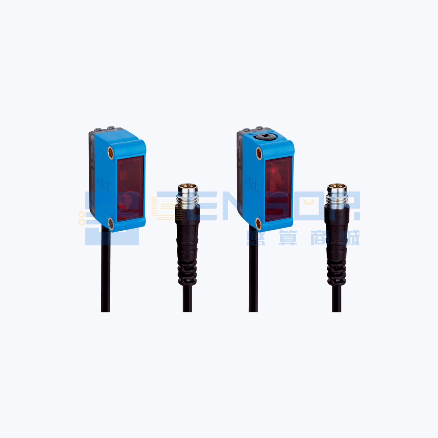 GSE6-P6211