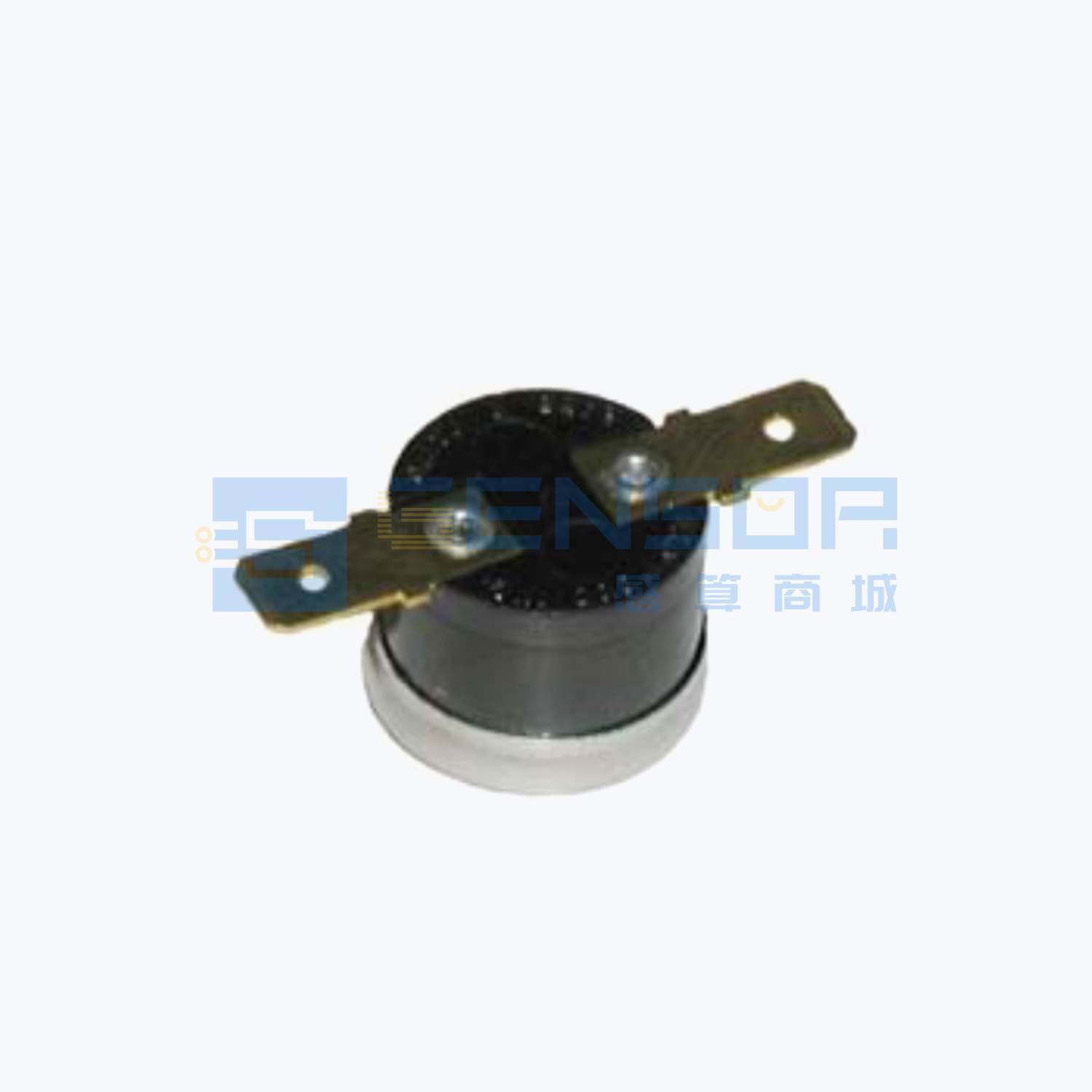 2455R--90980306