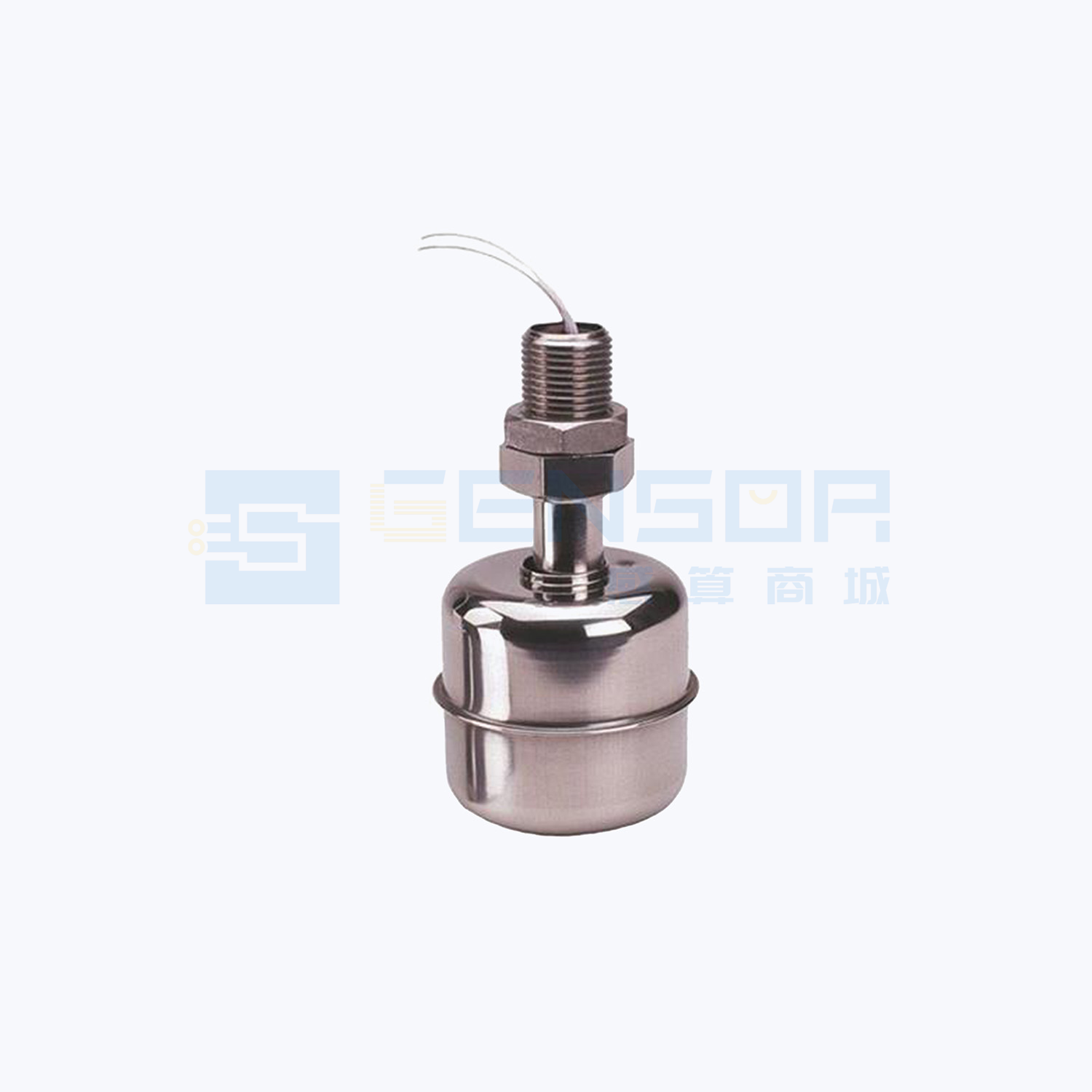 SSF22X100-M12X1