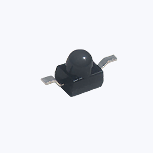 AM2520PD1BT09