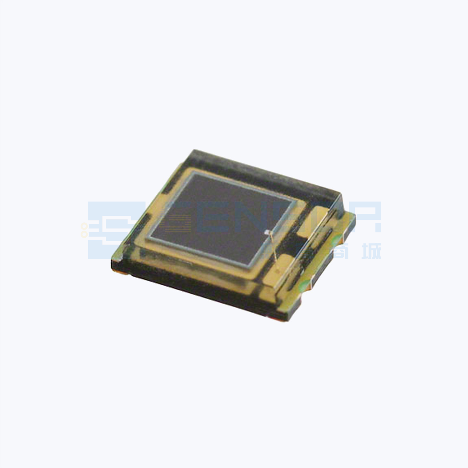 TEMD5080X01
