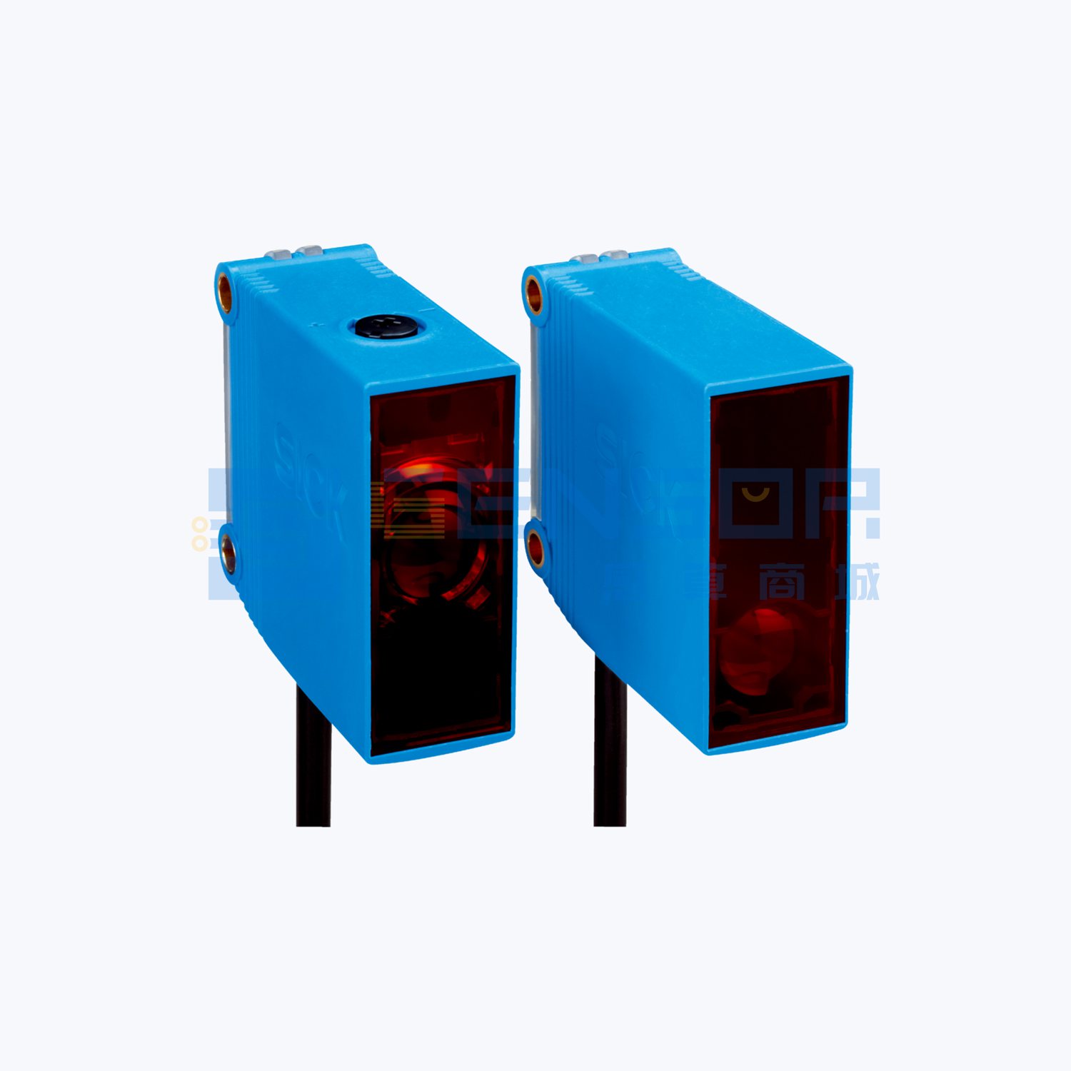 GSE10-R9812