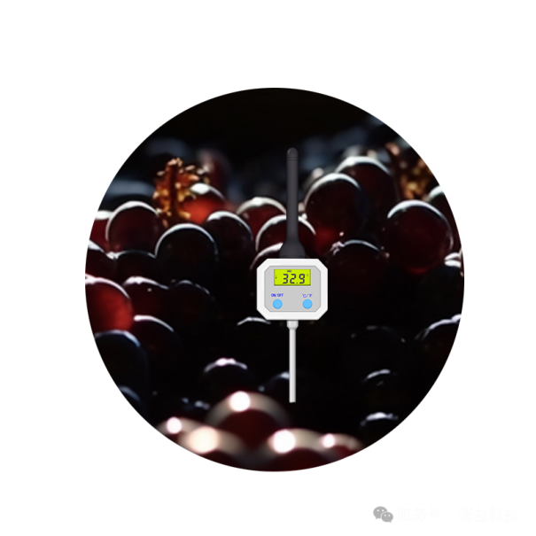 酿酒厂智能温湿度监测解决方案8