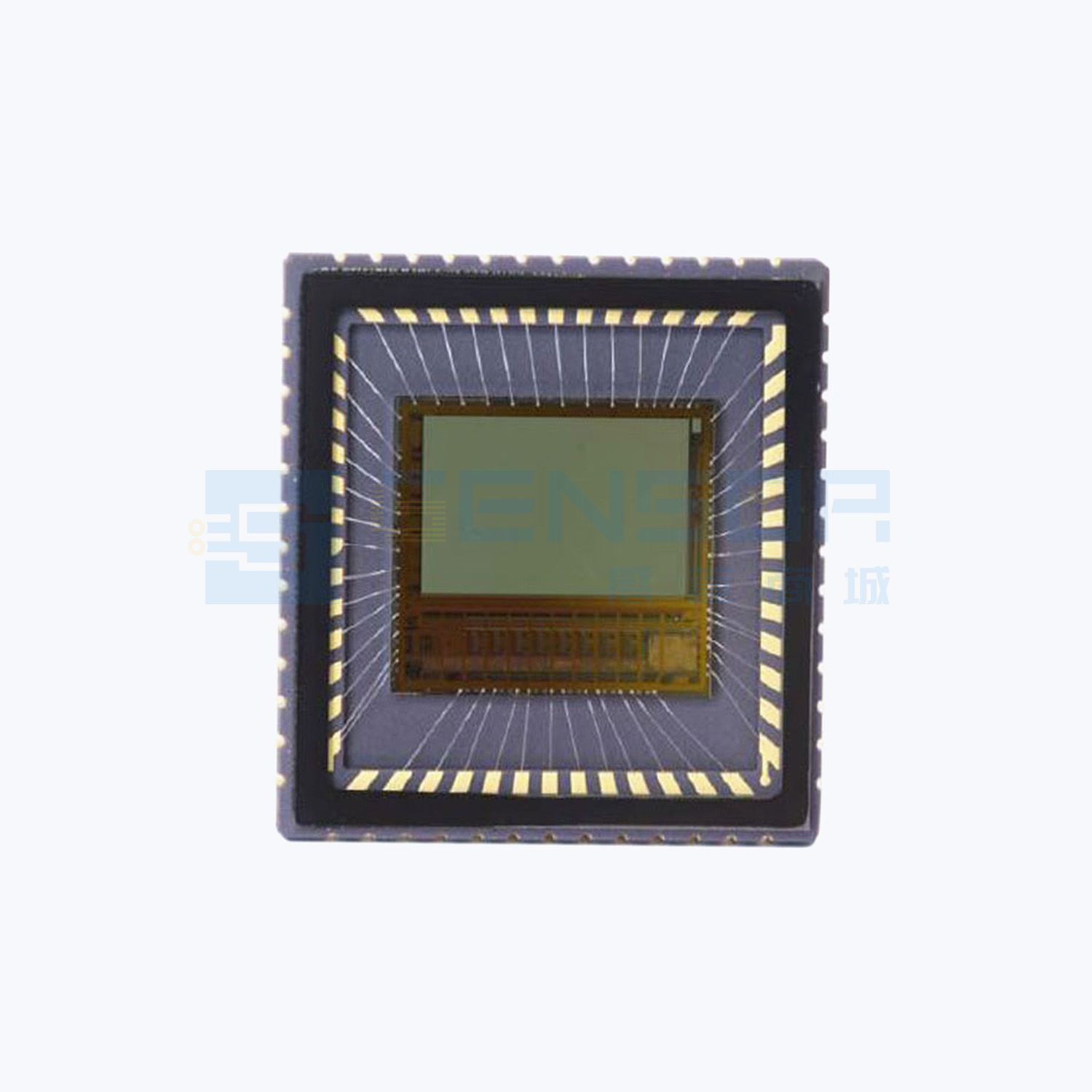 NOIV1SN2000A-QDC