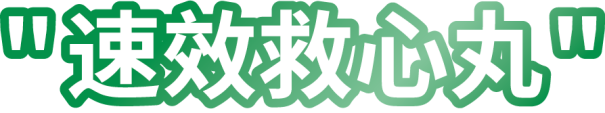 核电站“速效救心丸”——尼得科利莱森玛核级发电机2