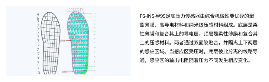 足底压力分布测量系统RPPS-99方案7