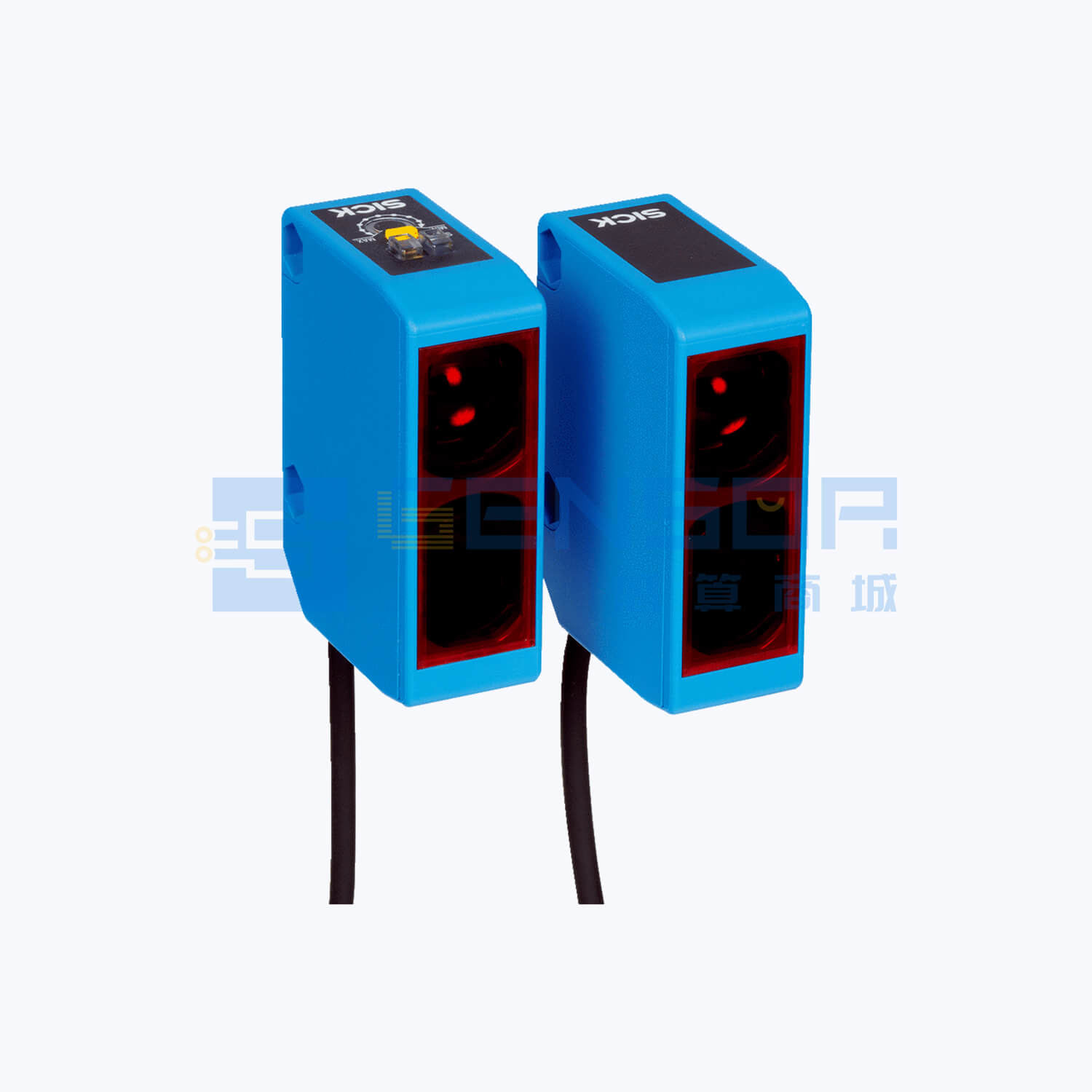 WSE250-2P1131